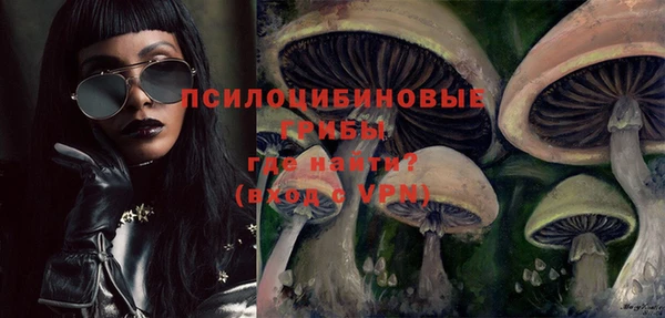 ешки Пролетарск