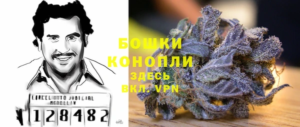 гидра Аркадак