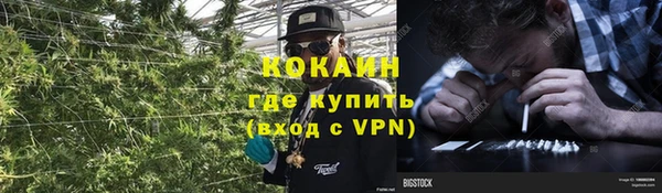 герыч Арсеньев